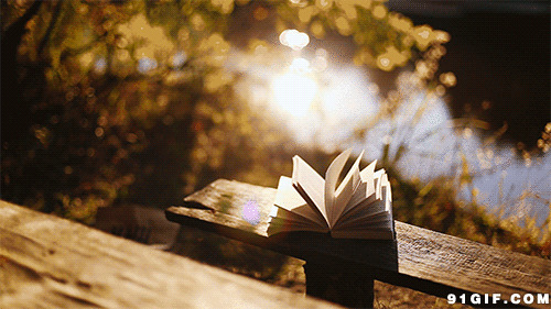 木凳上翻页的书本唯美动态图:书本,唯美