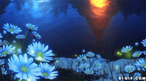湖边花丛闪亮萤火虫唯美动态图:萤火虫,菊花