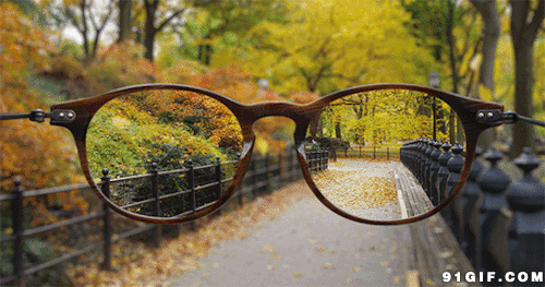 眼镜里清晰的景色动态图:眼镜,风景,落叶