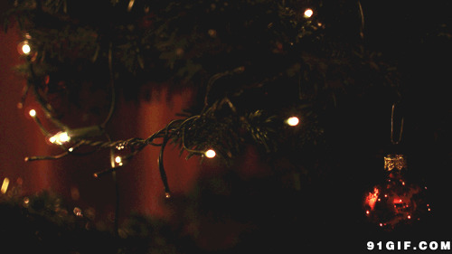 树上闪烁的小灯动态图:灯光,闪烁