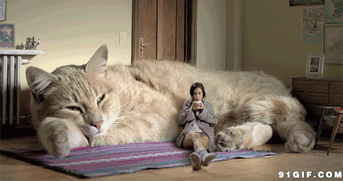 大只猫咪当沙发奇幻动态图
