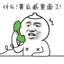 什么黄瓜段里面了表情图片
