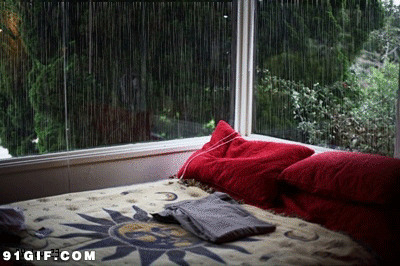 房间落地窗外的雨景动态图:雨景,窗外,下雨