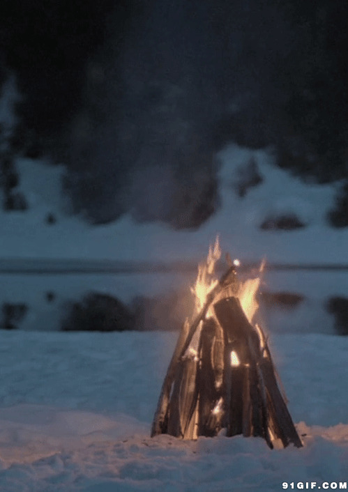 雪地干柴堆烧火动态图片:火烧,柴火,火焰