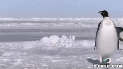 企鹅从冰窟飞跃动态图