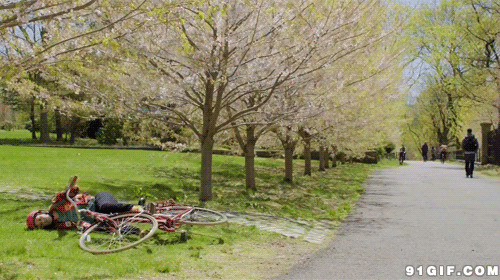 男人骑单车草地摔倒动态图:摔倒,骑车,自行车