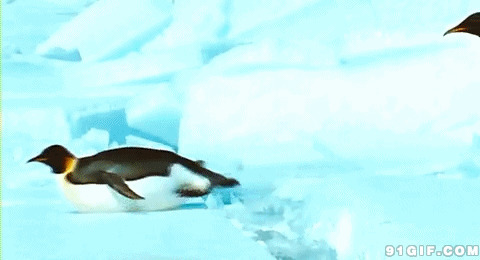 小企鹅爬过冰山动态图