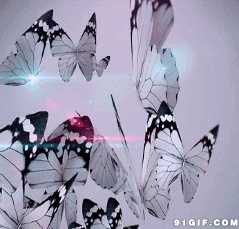 一群漂亮的蝴蝶飞舞动态图