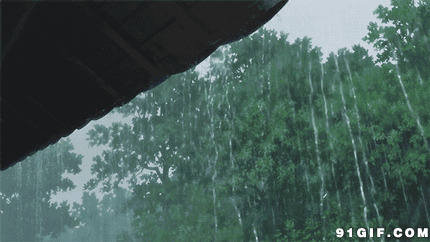 屋檐下水流如柱动态图:下雨