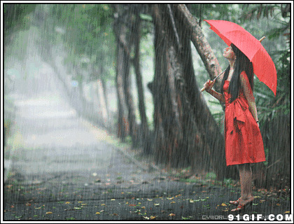 女人雨中打伞动态图:下雨,打伞