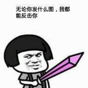 无论你发什么图我都能反击你表情图片