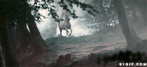 白骏马奔驰在森林里动态图