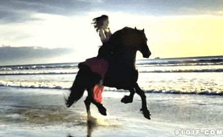 少女骑黑马奔驰在海边动态图:骑马