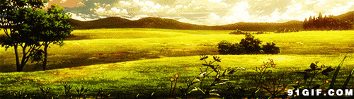 远山绿油油田野动态图:风景,草原