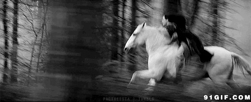 骑白马森林闪电奔跑动态图:奔跑,骑马
