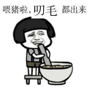 喂猪了 叼毛 斗出来表情图片
