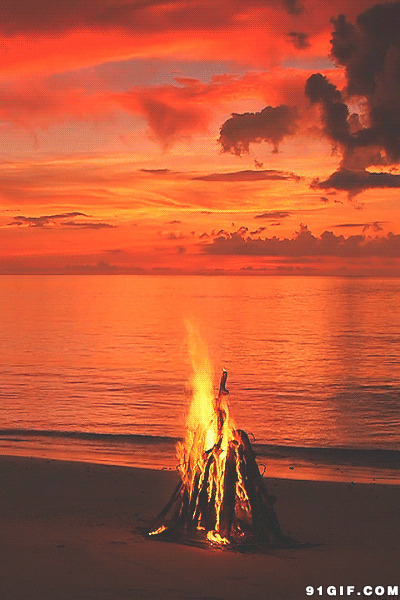燃烧的火焰动态图片:火焰,篝火
