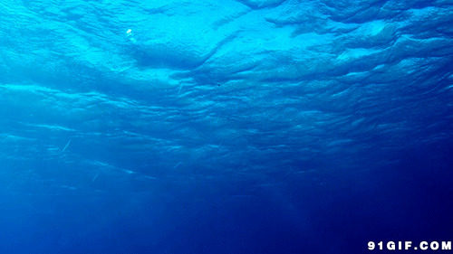 海底世界动态图:海底,深海,海浪