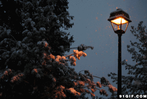 夜晚路灯唯美图片:路灯,唯美,下雪