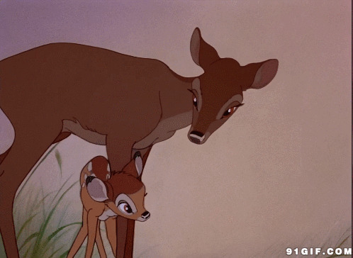 梅花鹿动漫图片:梅花鹿,小鹿
