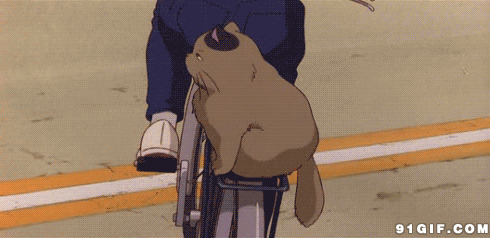 卡通自行车动态图:猫猫,自行车