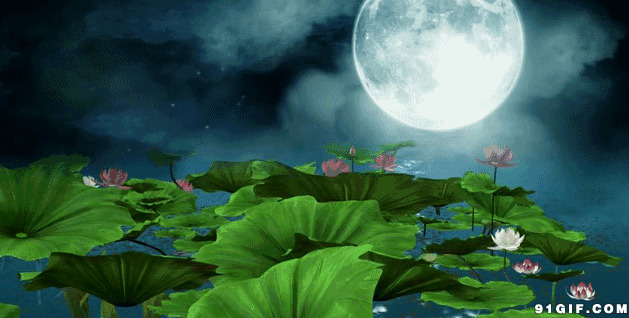 月下荷塘图片:荷塘,月亮,荷叶