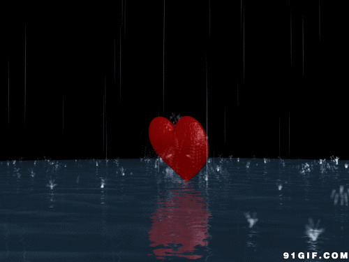 动态雨中玫瑰花图片:下雨,爱心,桃心