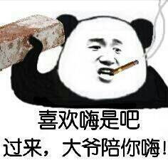 喜欢嗨是吧 来大爷陪你嗨表情图片