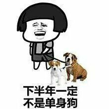 下半年一定不做单身狗表情图片