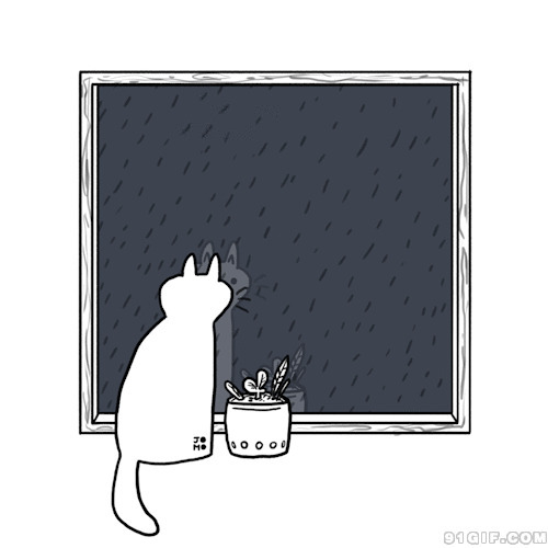 摇尾巴猫咪窗台看雨卡通动态图:猫猫,卡通