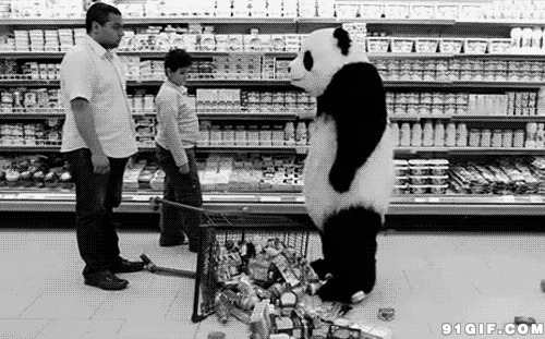 大熊猫超市发脾气动态图:熊猫,生气