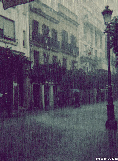城市街道雨中即景动态图:下雨,雨景