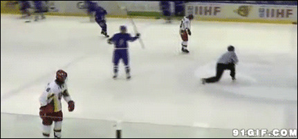 冰球运动员扔杆打人动态图:打人,摔倒