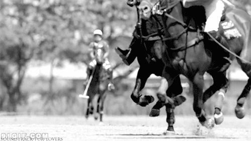 国际马球比赛动态图片:马球,比赛,骑马