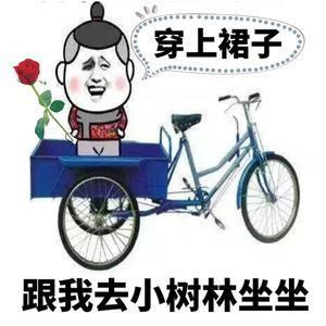 穿上裙子跟我去小树林做做表情图片