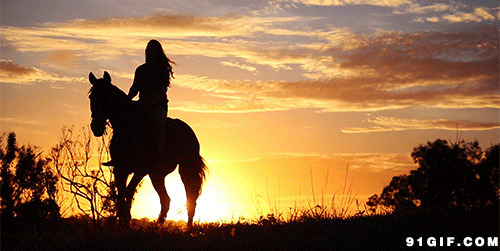 日落黄昏骑马人动态图:日落,骑马
