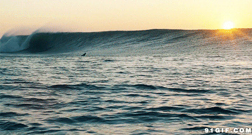 阳光照耀汪洋大海动态图:大海,波浪