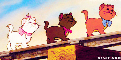 小猫愉快过小桥动画图片:猫猫,过桥