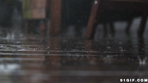 下雨背景动态图:下雨,雨水,滴水