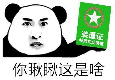 你瞅瞅这是啥，装逼证表情图片
