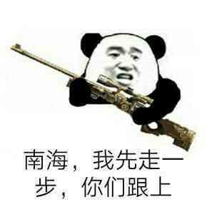 南海我先走一步你们跟上表情图片