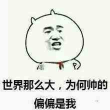 世界那么大为何帅的人偏偏是我表情图片