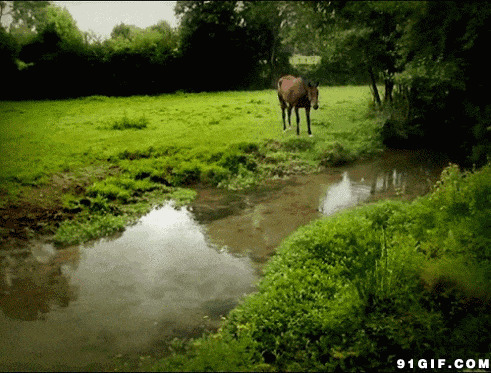 山间小溪高清图片:小溪,溪水,放马,牧马