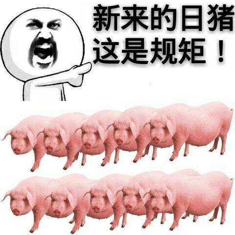 新来的日猪，这是规矩表情图片
