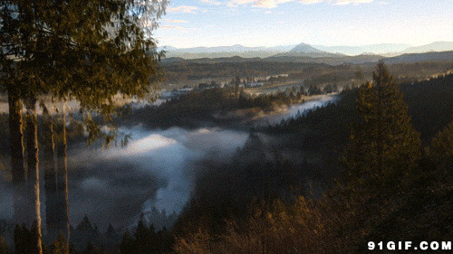 迷雾森林图片:迷雾,山林,山雾