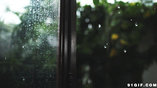 唯美下雨天图片:下雨,唯美