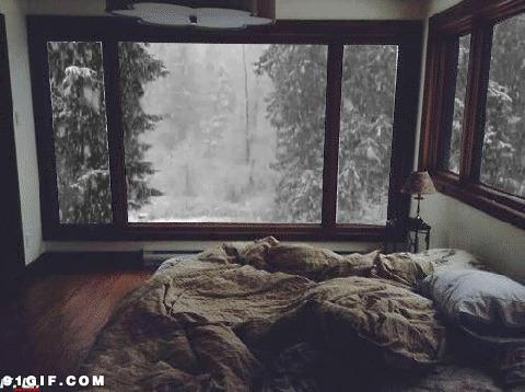 窗外雪景图片