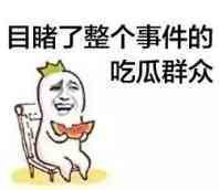 目睹了整个事件过程的吃瓜群众表情图片