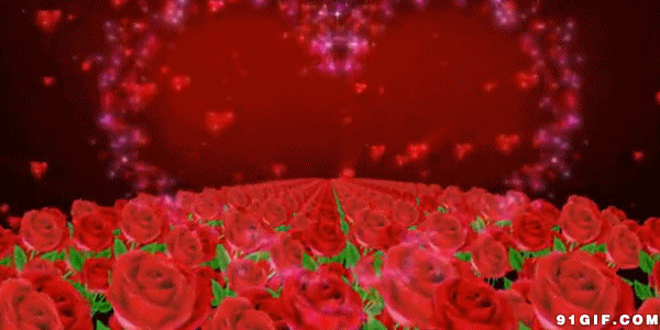 唯美爱心动态图片:爱心,心型,玫瑰花