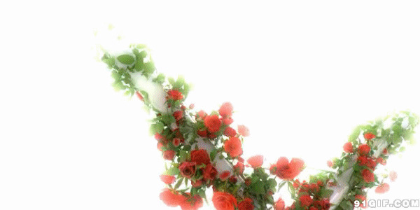 花藤动态图片:花藤,花开,开花
